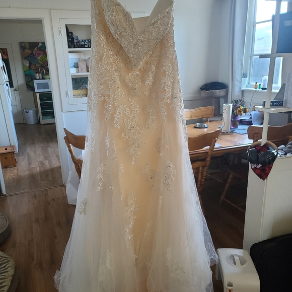 Gorgeous strapless brand-new wedding dress - Picture 5 of 7